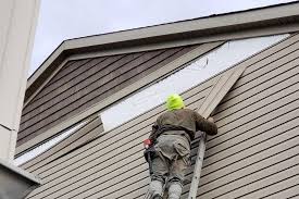 Best Attic Cleanout  in Northdale, FL